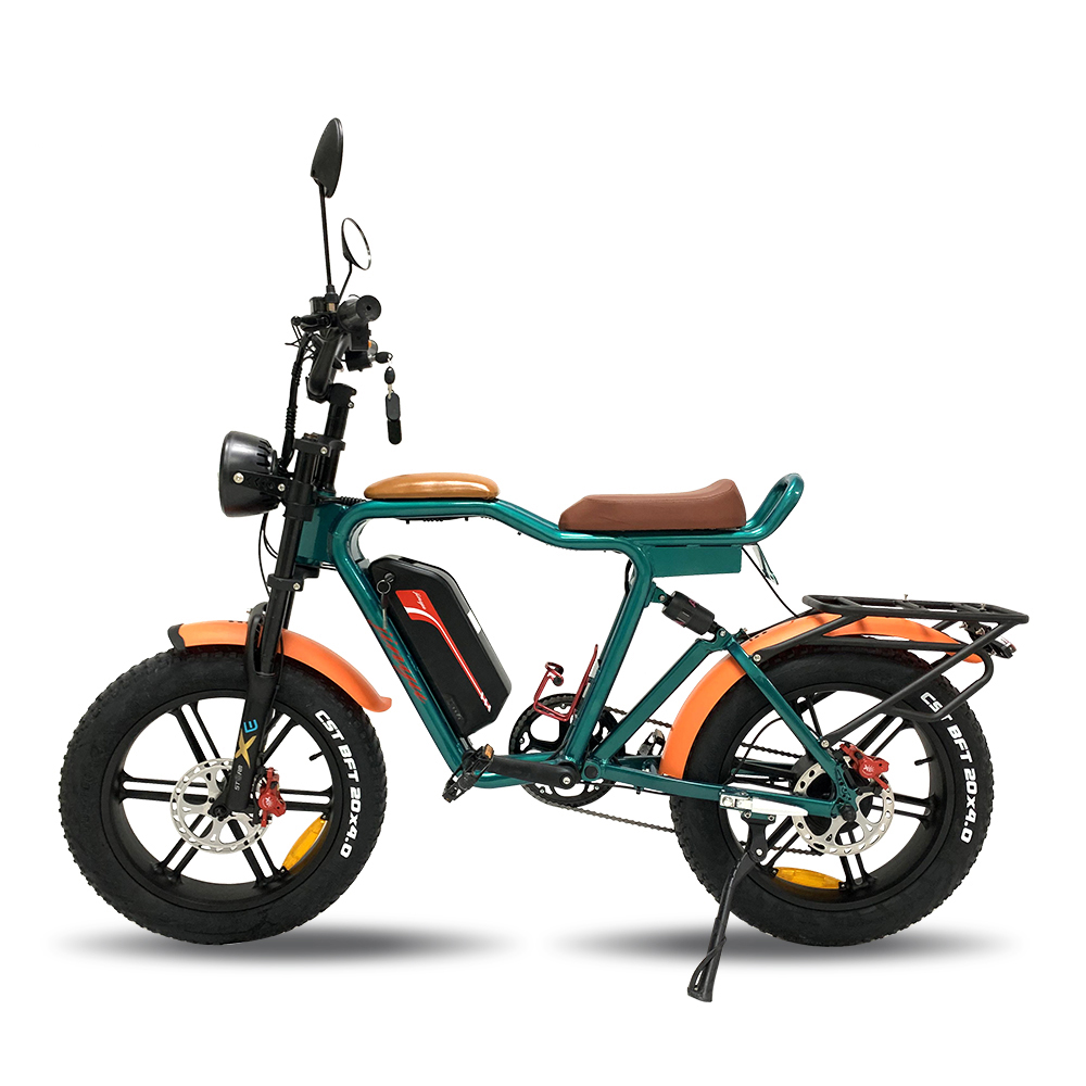 Quality Inspection for Full Suspension Mtb - 1000W 48V 22Ah 55km/h external lithium battery electric bike – CYCLEMIX