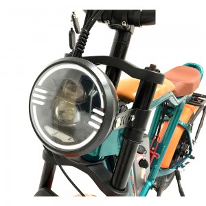 1000W 48V 22Ah 55km/h external lithium battery electric bike