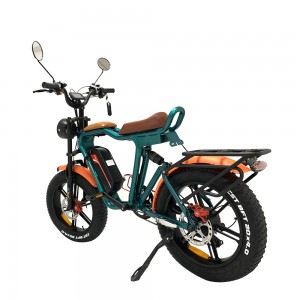 1000W 48V 22Ah 55km/h external lithium battery electric bike