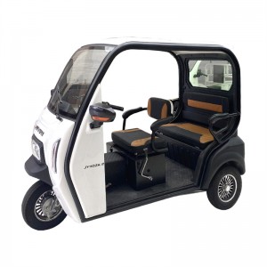 1200W 60V Fully Enclosed Passenger Electric Tricycle Motorcycle Trike