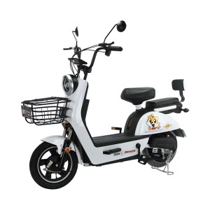 Factory wholesale Hot sale 350W 48V 12Ah/20Ah electric bike with pedal