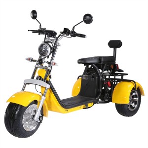 Eec 2000W 60V 12A removable lithium battery harley electric tricycle