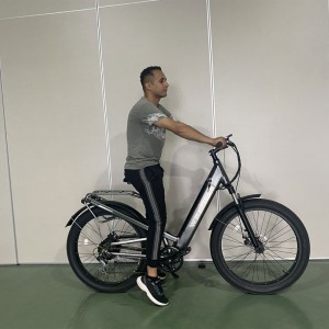 1908 500w 48V 10.4h / 14h 35Km / h Lithium Brithium Electric Bike