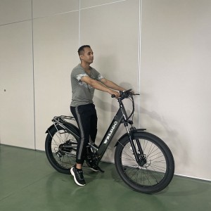 1908 500w 48V 10.4h / 14h 35Km / h Lithium Brithium Electric Bike