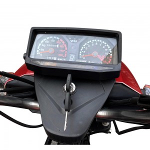 200CC Water Cooling Mechanical Instrument Panel Fuel Cargo Tricycle