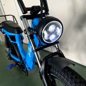 2205 350W-1000W 48V 13Ah/14Ah 35km/h Lithium Battery Electric Bike