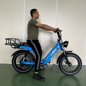 2205 350W-1000W 48V 13Ah/14Ah 35km/h Lithium Battery Electric Bike