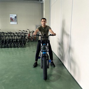 2205 350W-1000W 48V 13Ah/14Ah 35km/h Lithium Battery Electric Bike