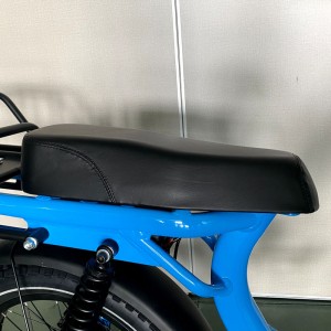 2205 350W-1000W 48V 13Ah/14Ah 35km/h Lithium Battery Electric Bike