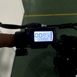 2206 350W-1000W 48V 10.4Ah/14Ah 35km/h Lithium Battery Electric Bike