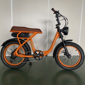 2207 350W 48V 10.4Ah/14Ah 38km/h Lithium Battery Electric Bike