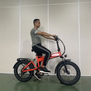 2209 350W 36V 7.8Ah/10.5Ah 38km/h Lithium Battery Electric Bike