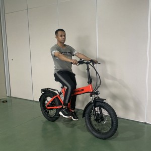 2209 350W 36V 7.8Ah/10.5Ah 38km/h Lithium Battery Electric Bike