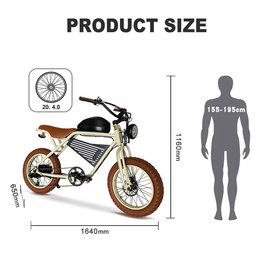 2211 350W-1000W 48V 16Ah19.2Ah 35kmh Lithium Battery Electric Bike Detail04