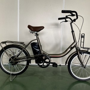 2220 250W 36V 7.8Ah/10.5Ah 25km/h Lithium Battery Electric Bike