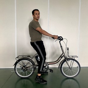 2220 250W 36V 7.8Ah/10.5Ah 25km/h Lithium Battery Electric Bike