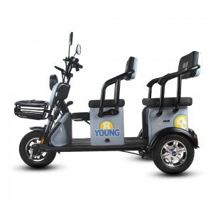 25Km/H 500W 48V/60V 20Ah Lead Acid Electric Tricycle