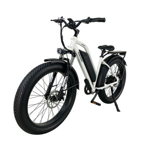 26 inch fat tire electric snow bike Electric Mountain Bike