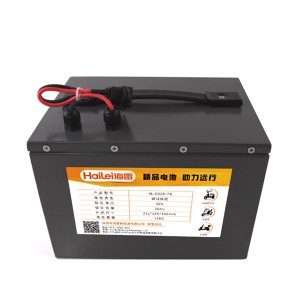 Two Three Four Wheel electric vehicle electric bike Lithium Battery