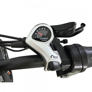 80-90km Pure Electric Cruising Range 55km/h With 5 Speed Electric Bike