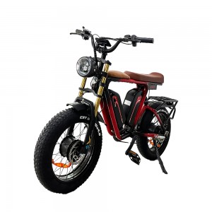 80-90km Pure Electric Cruising Range 55km/h With 5 Speed Electric Bike