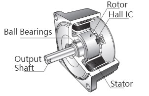 Brushless DC Motor