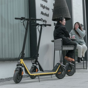 C1 350W 36V 8Ah/12Ah/16Ah 25Km/H Folding Electric Scooter