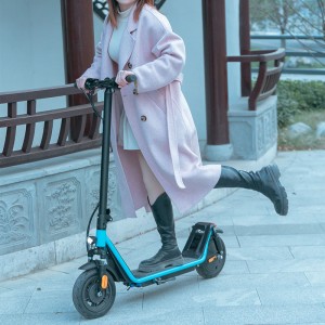 C1 350W 36V 8Ah/12Ah/16Ah 25Km/H Folding Electric Scooter