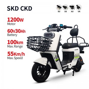 Electric Bike BD 1200W 60V 30Ah 55km/h