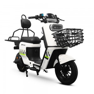 Electric Bike BD 1200W 60V 30Ah 55km/h