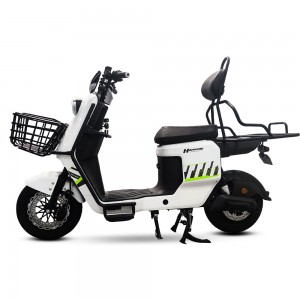 Electric Bike BD 1200W 60V 30Ah 55km/h