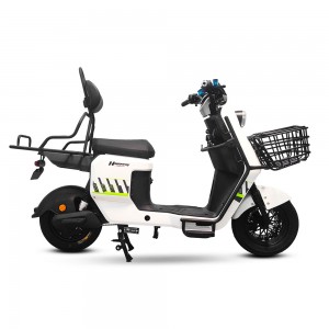 Electric Bike BD 1200W 60V 30Ah 55km/h