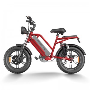 Electric Bike D70 750W 48V 15Ah/20Ah/23Ah 50km/h