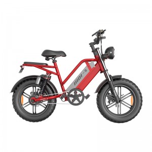 Electric Bike D70 750W 48V 15Ah/20Ah/23Ah 50km/h