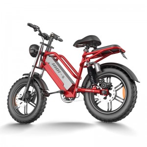 Electric Bike D70 750W 48V 15Ah/20Ah/23Ah 50km/h