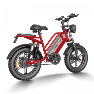 Electric Bike D70 750W 48V 15Ah/20Ah/23Ah 50km/h