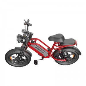 Electric Bike D70 750W 48V 15Ah/20Ah/23Ah 50km/h