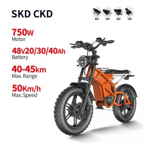 Electric Bike D74 750W 48V 20Ah/30Ah/40Ah 50km/h