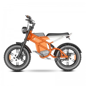 Electric Bike D74 750W 48V 20Ah/30Ah/40Ah 50km/h