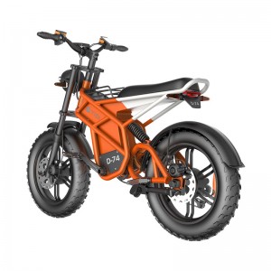 Electric Bike D74 750W 48V 20Ah/30Ah/40Ah 50km/h