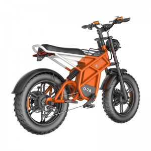 Electric Bike D74 750W 48V 20Ah/30Ah/40Ah 50km/h