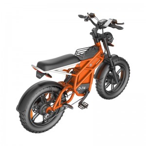 Electric Bike D74 750W 48V 20Ah/30Ah/40Ah 50km/h