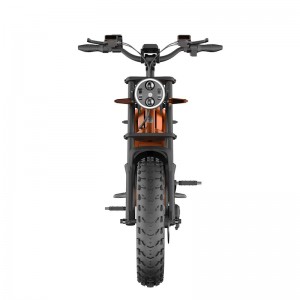 Electric Bike D74 750W 48V 20Ah/30Ah/40Ah 50km/h