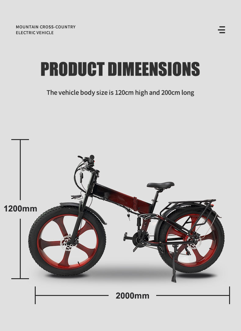 Electric Bike DGHM-78 750W 48V 20Ah 55kmh Details04