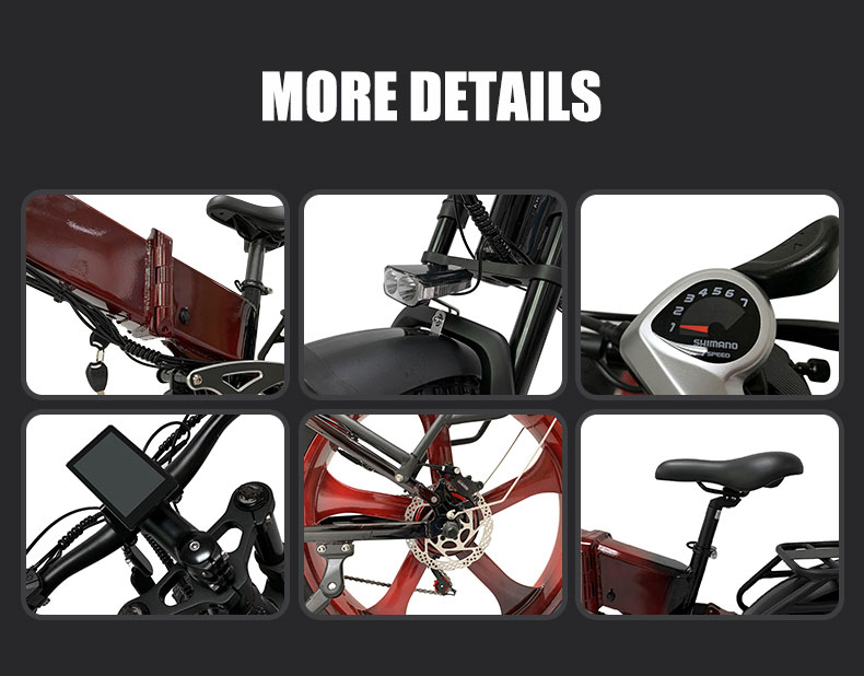 Electric Bike DGHM-78 750W 48V 20Ah 55kmh Details05