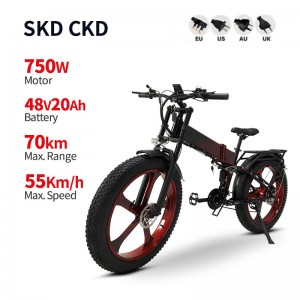 Electric Bike DGHM-78 750W 48V 20Ah 55km/h