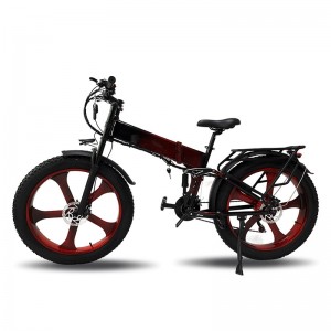 Electric Bike DGHM-78 750W 48V 20Ah 55km/h