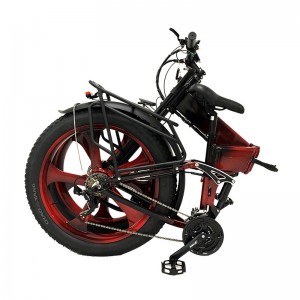 Electric Bike DGHM-78 750W 48V 20Ah 55km/h