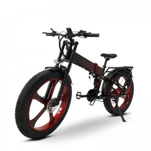 Electric Bike DGHM-78 750W 48V 20Ah 55km/h