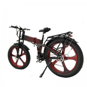 Electric Bike DGHM-78 750W 48V 20Ah 55km/h